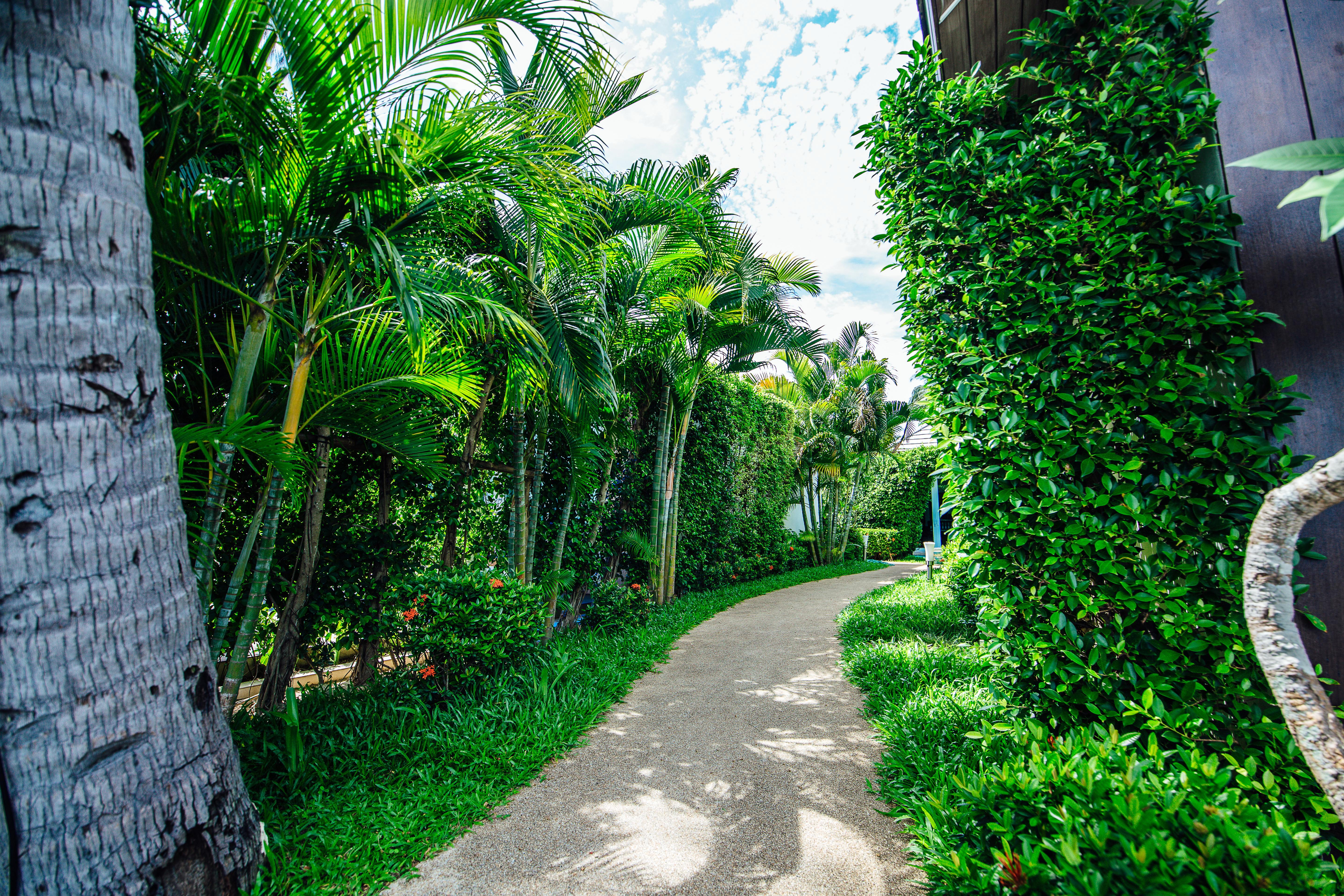 Sea Valley Resort Lipa Noi Exterior foto